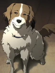 Puku
