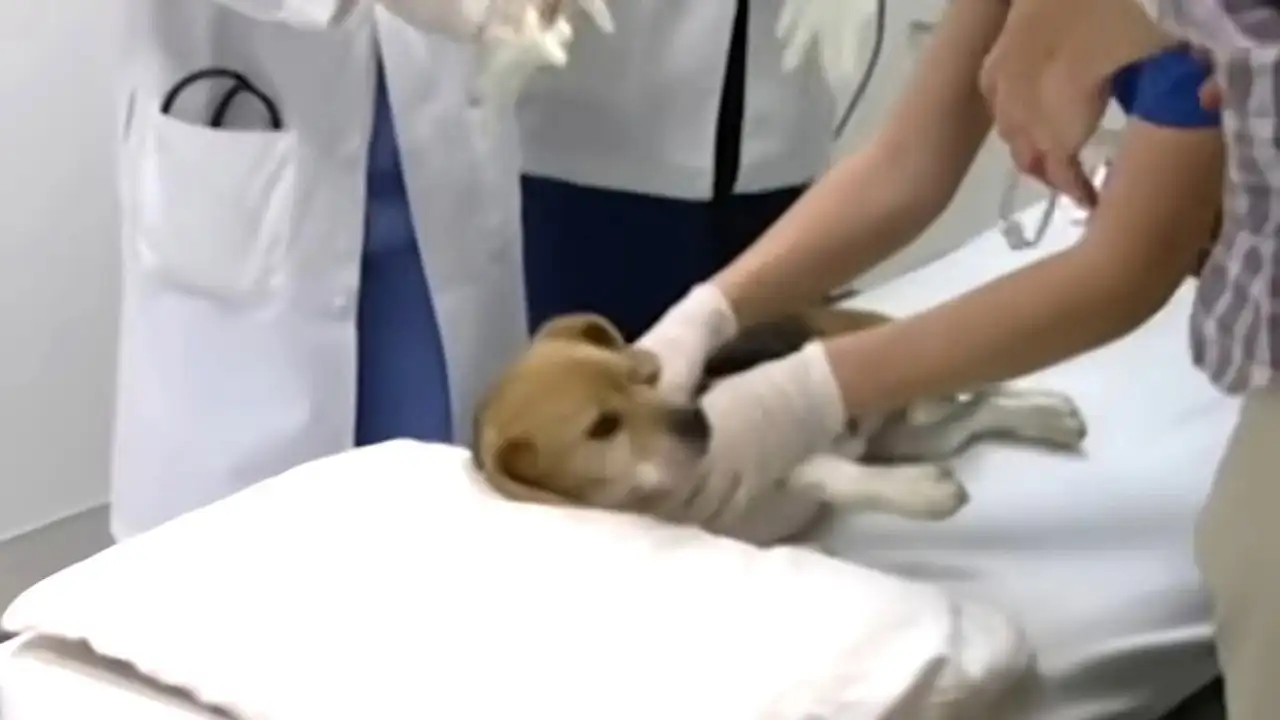 Surgery Won't Help