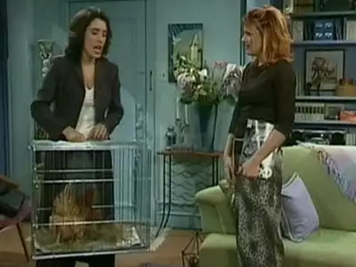 Episode 13