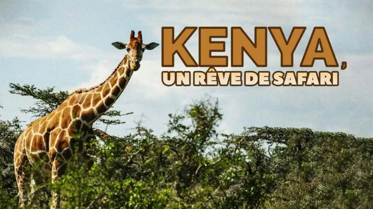 Kenya, un rêve de safari