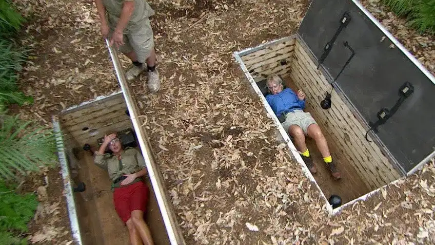 Bug Burial