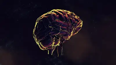 Intelligence