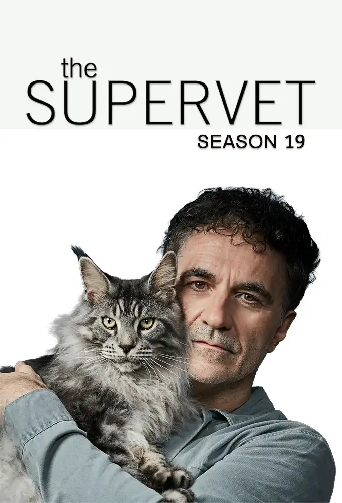Season 19