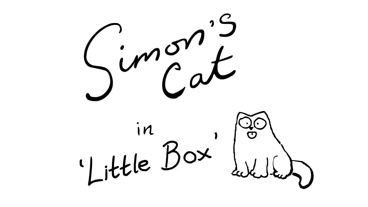 Little Box