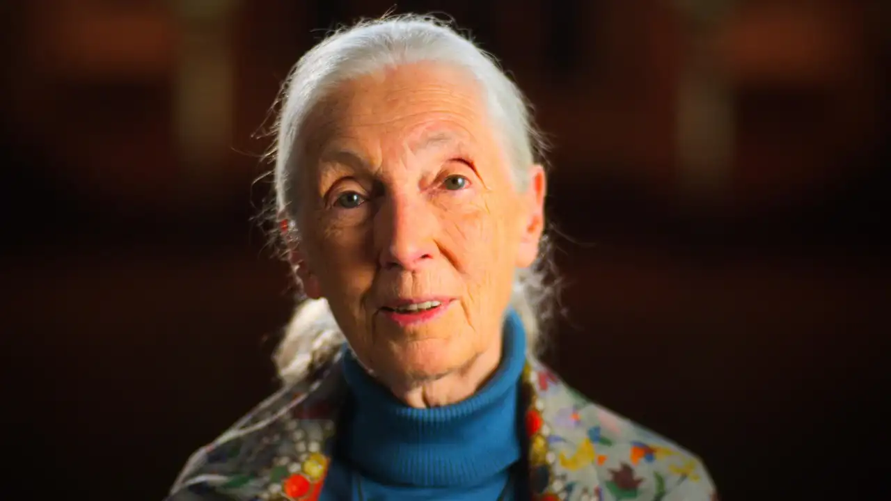 Jane Goodall