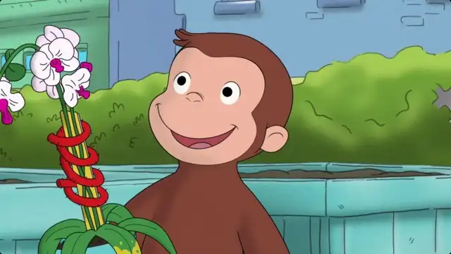 Y'Orchid-ding Me?
