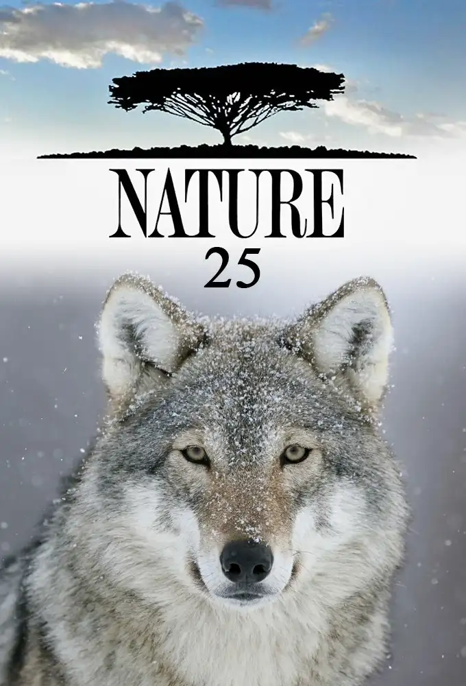 Season 25