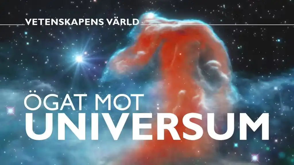 Eye against the Universe