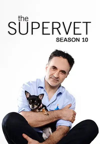Season 10