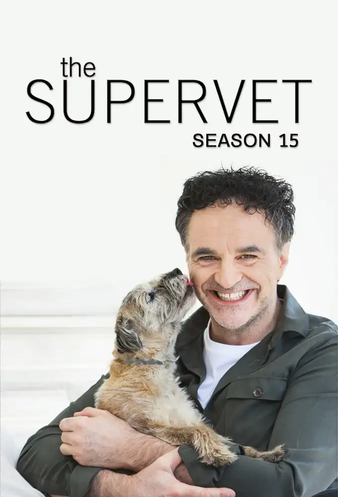 Season 15