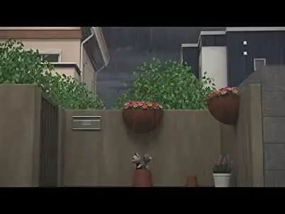Chi Takes Cover From The Rain