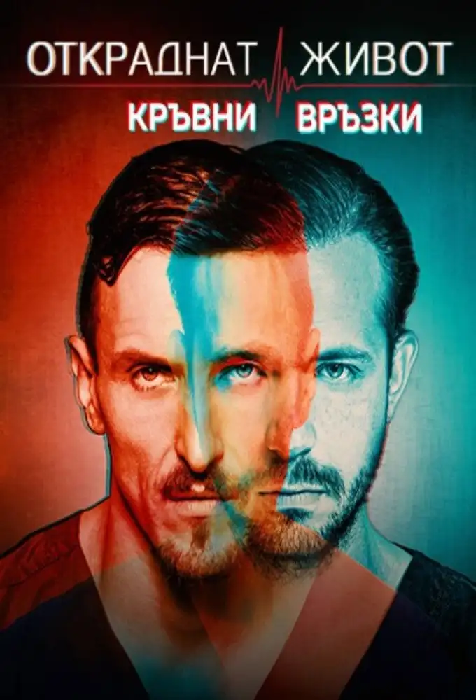 Season 8