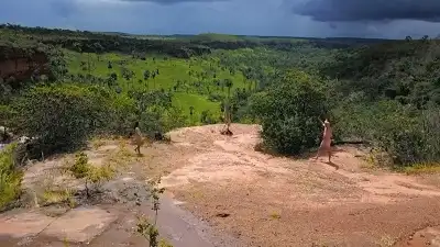 Stalked On The Savannah (Part 2)