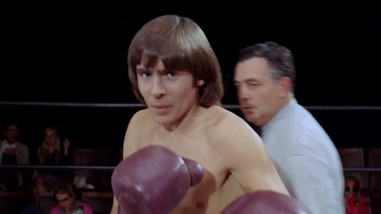 Monkees in the Ring