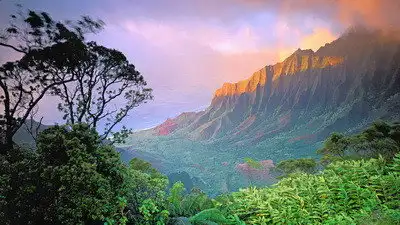 Hawaï, l'autre rêve américain
