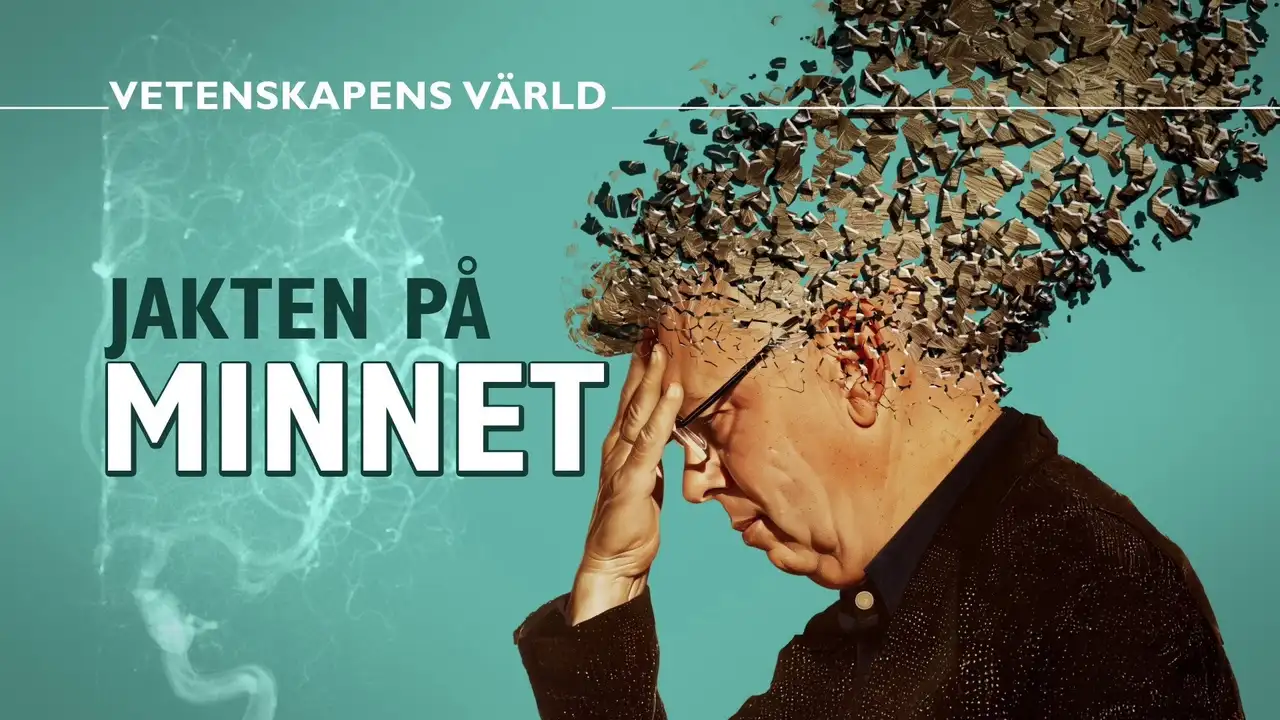 The Hunt for Memory