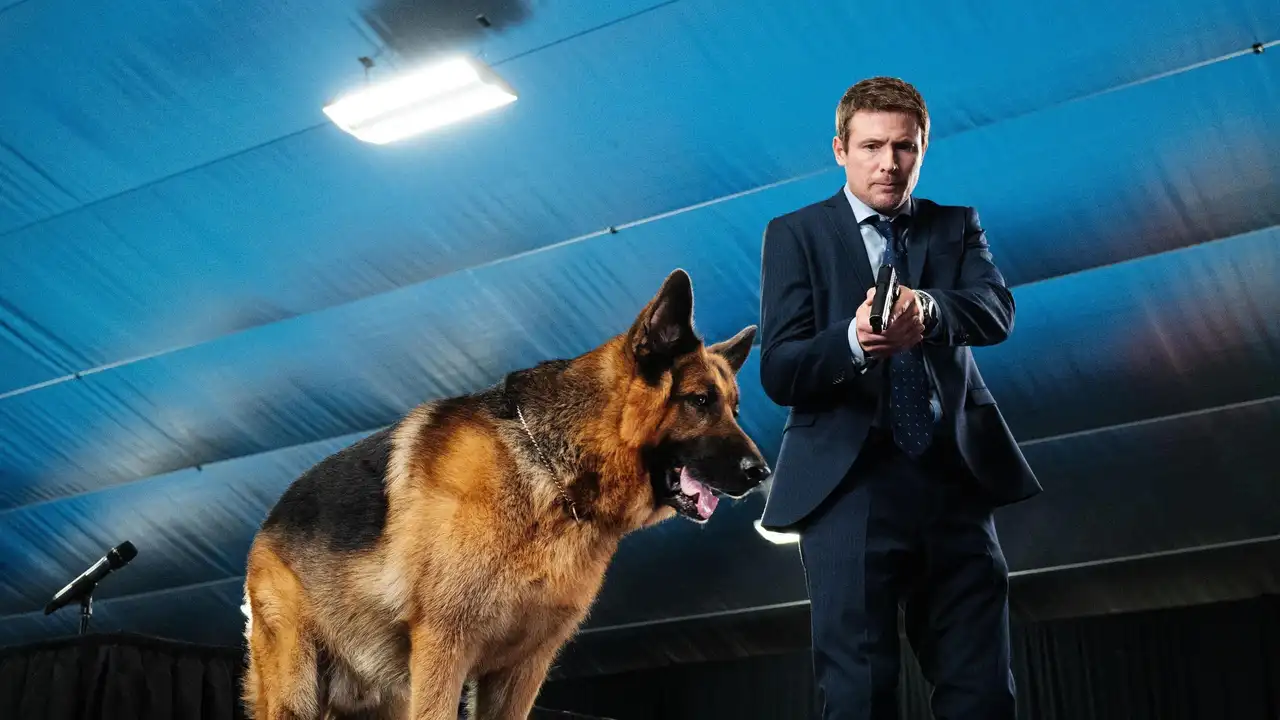 Top Dog