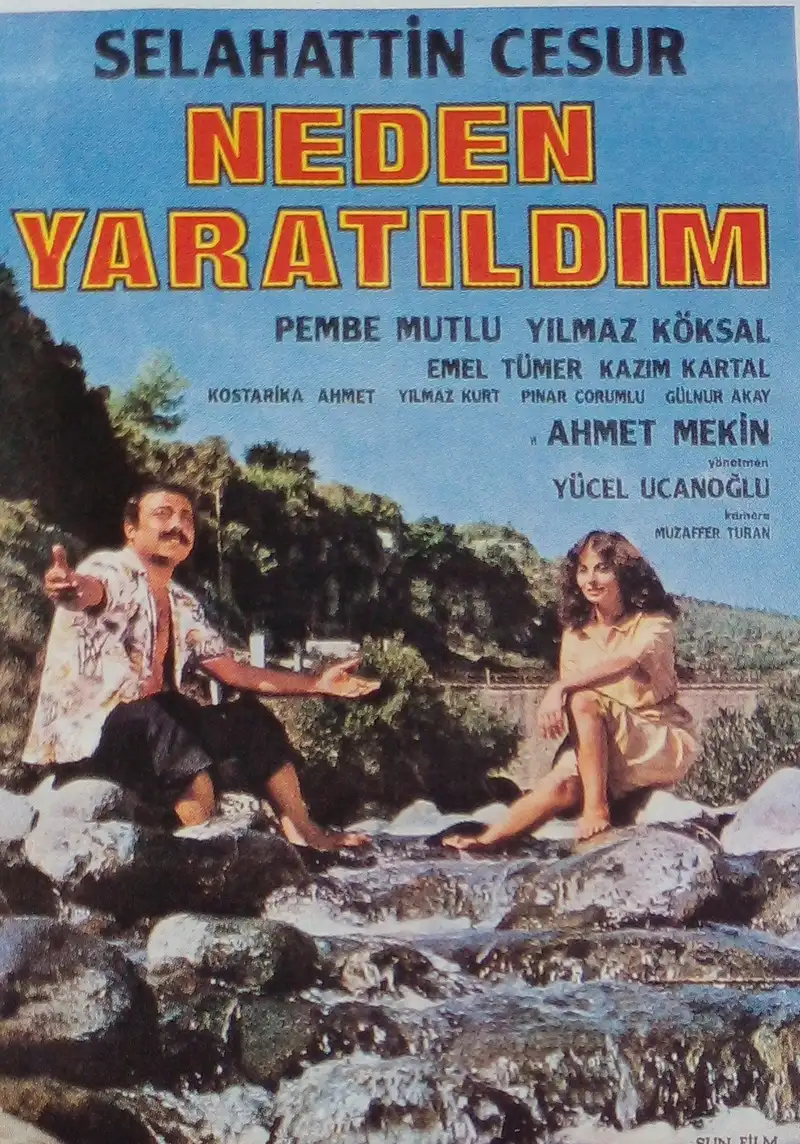 Neden Yaratıldım