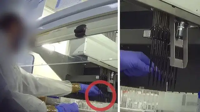Undercover: Inside the Covid Testing Lab