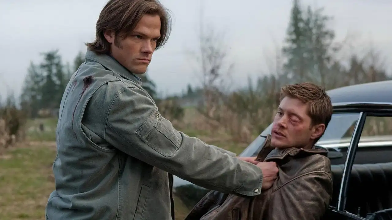 Swan Song