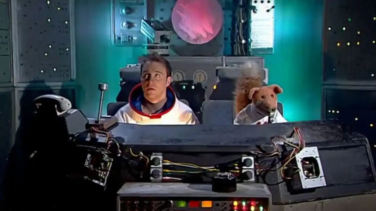 Fox In Space