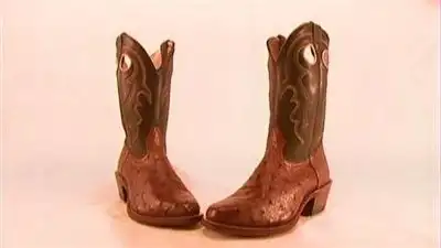 Alkaline Batteries, Wheelchairs, Flutes, Cowboy Boots