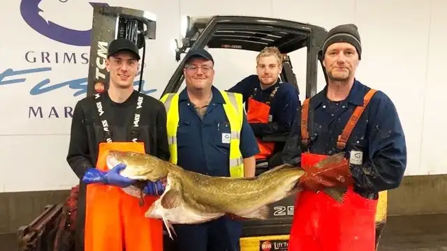 One Night at the Fish Market - Grimsby