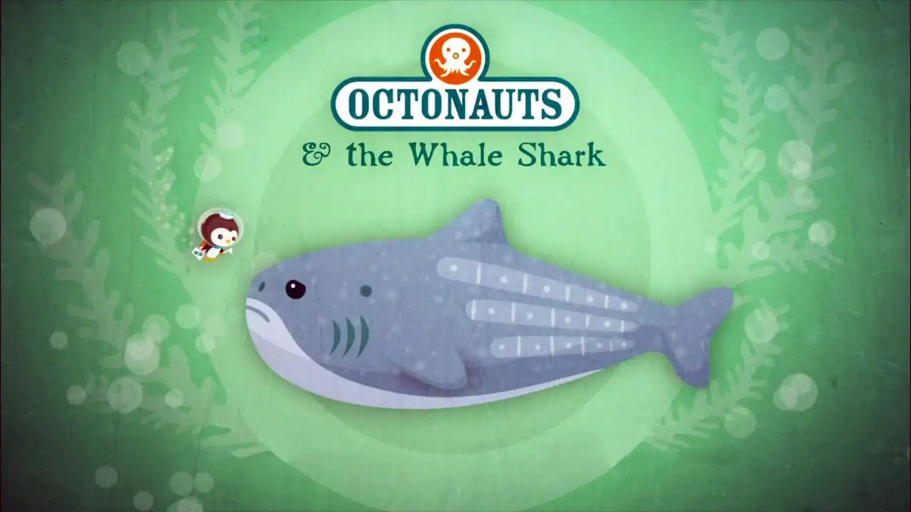 The Whale Shark