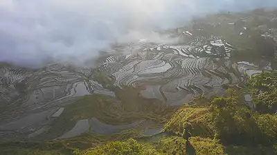 Honghe Hani Rice Terraces