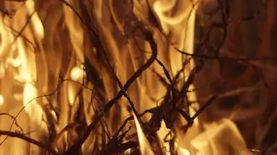 The Dynasties Playlists: Fire and Rain, by Daniel P Carter