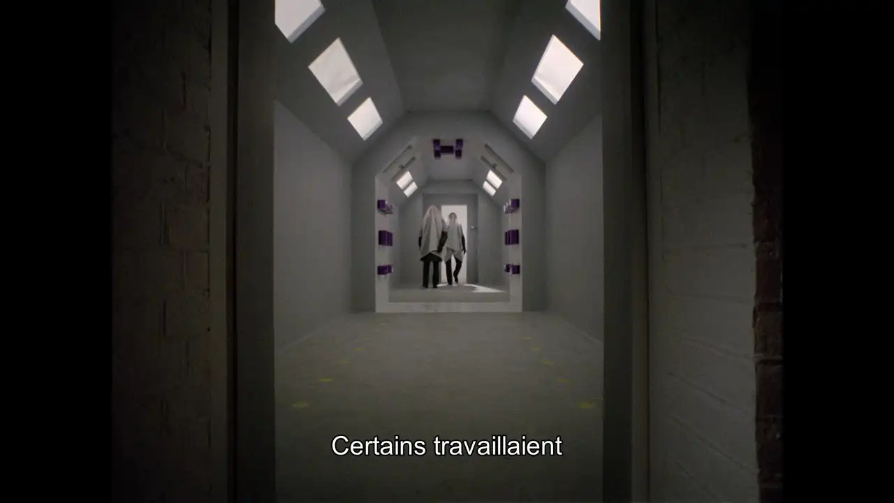 Episode 7
