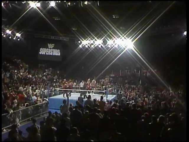 Superstars of Wrestling 293