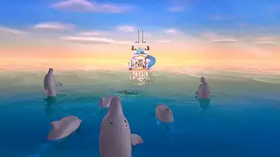 Dolphin Cruise