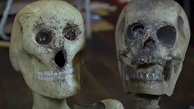 Creepiest Collections