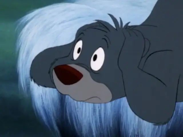 Sleepless In The Jungle