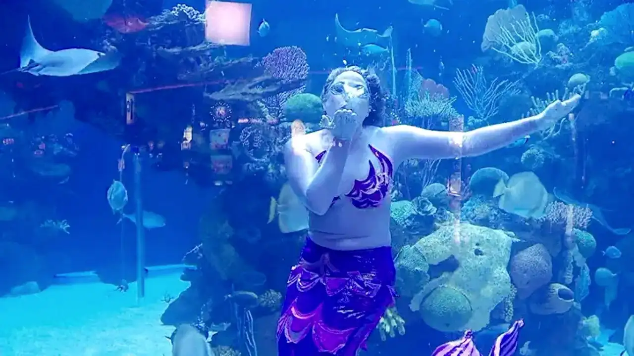 Brett Takes a Dive