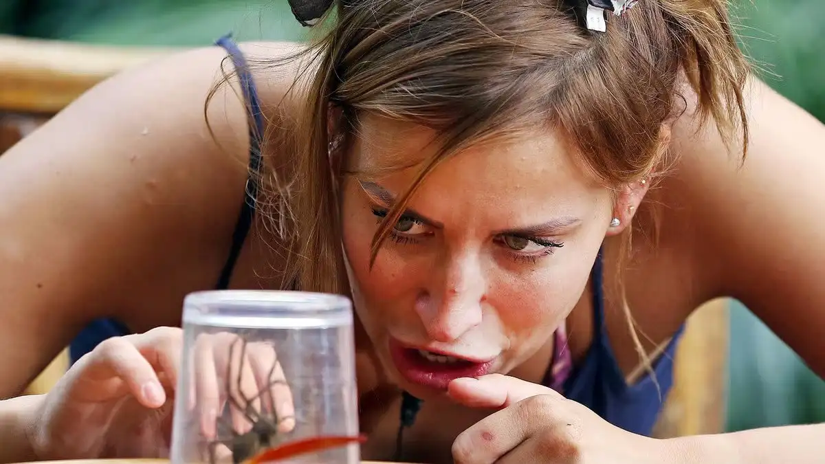 Final: Surf and Turf / Bushtucker Bonanza / Critter Attack