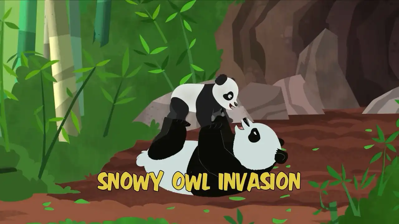 Snowy Owl Invasion
