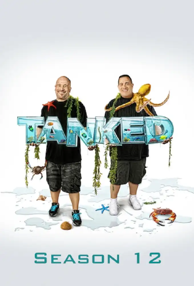 Season 12
