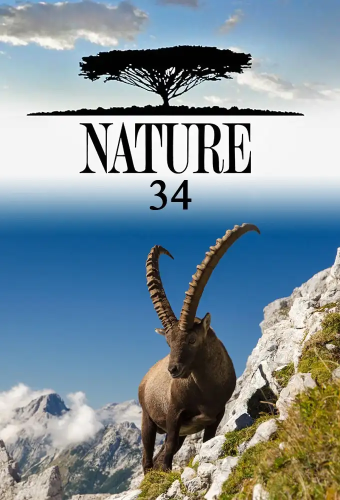 Season 34