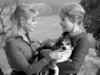 Next on Lost in Space (Deadliest of the Species)