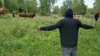 Episode 8