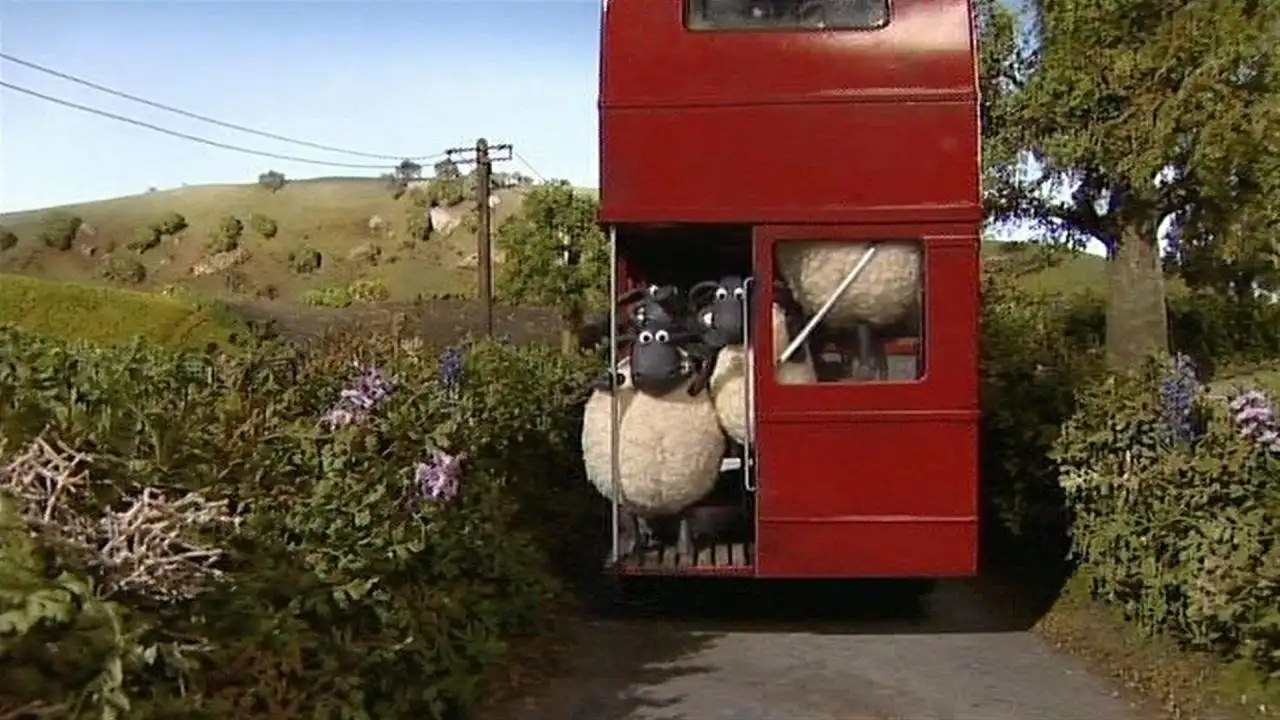 Sheep on the Loose