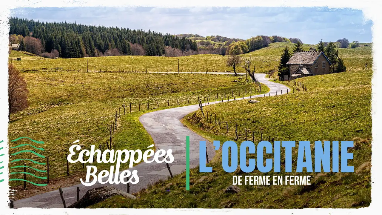 Chili, l'esprit nature