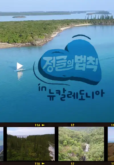 Law of the Jungle in New Caledonia