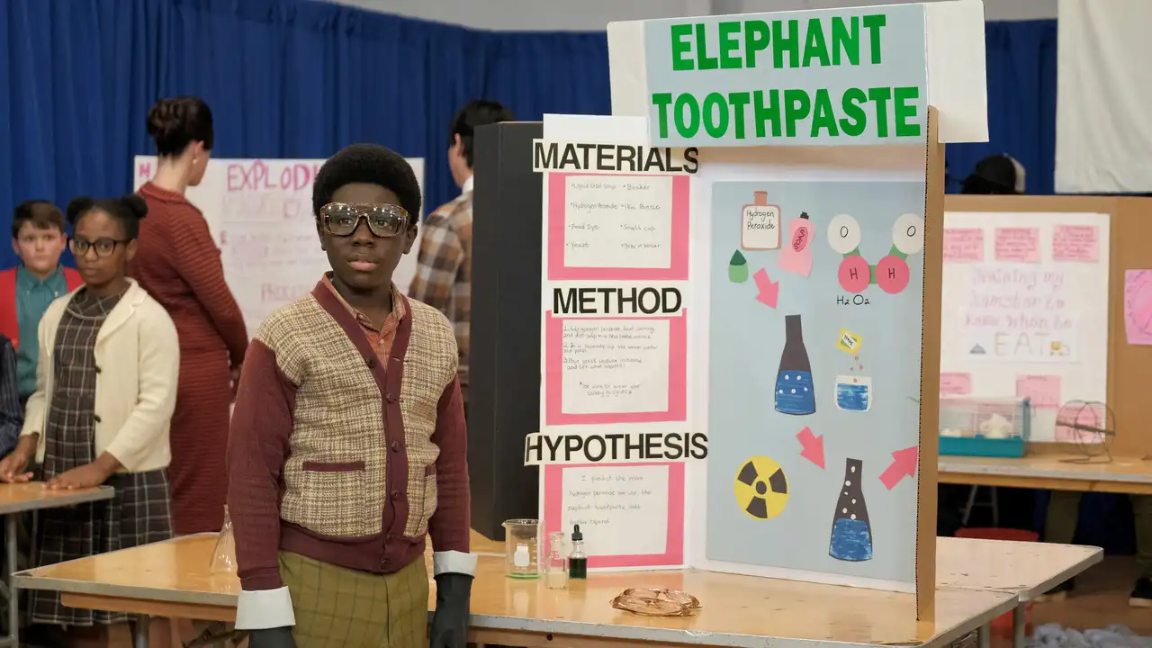Science Fair