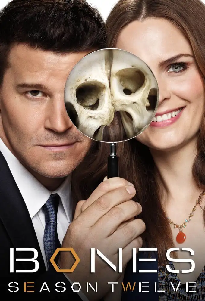 Season 12 - The Final Chapter