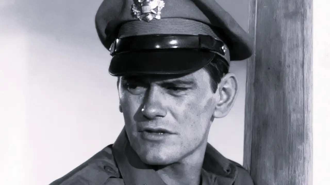 What a Shining Young Man Was Our Gallant Lieutenant