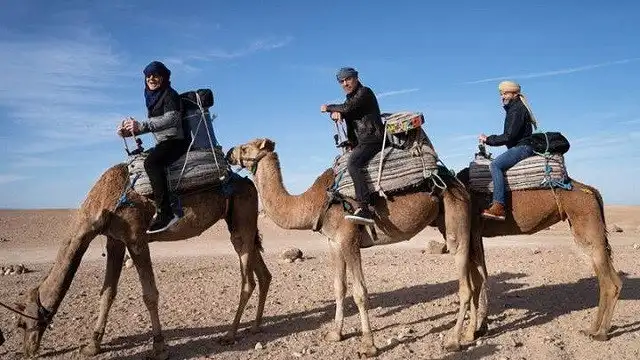 Three Unwise Men