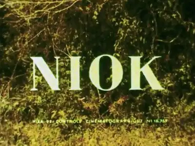 Noik